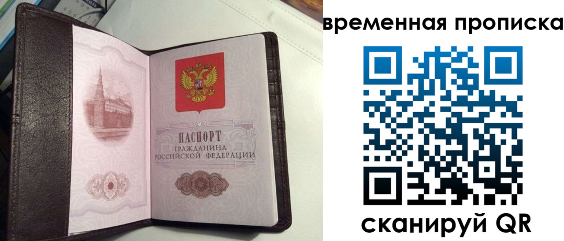 прописка 2025 в Павловском Посаде